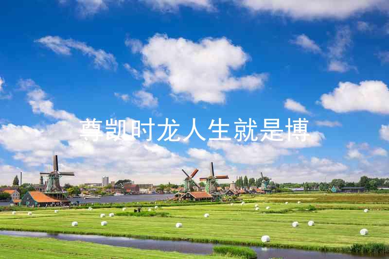 尊凯时龙人生就是博