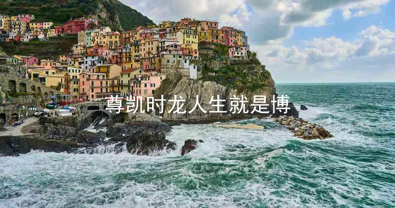 尊凯时龙人生就是博