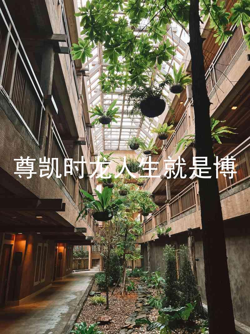 尊凯时龙人生就是博