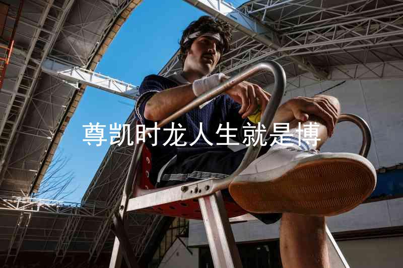 尊凯时龙人生就是博