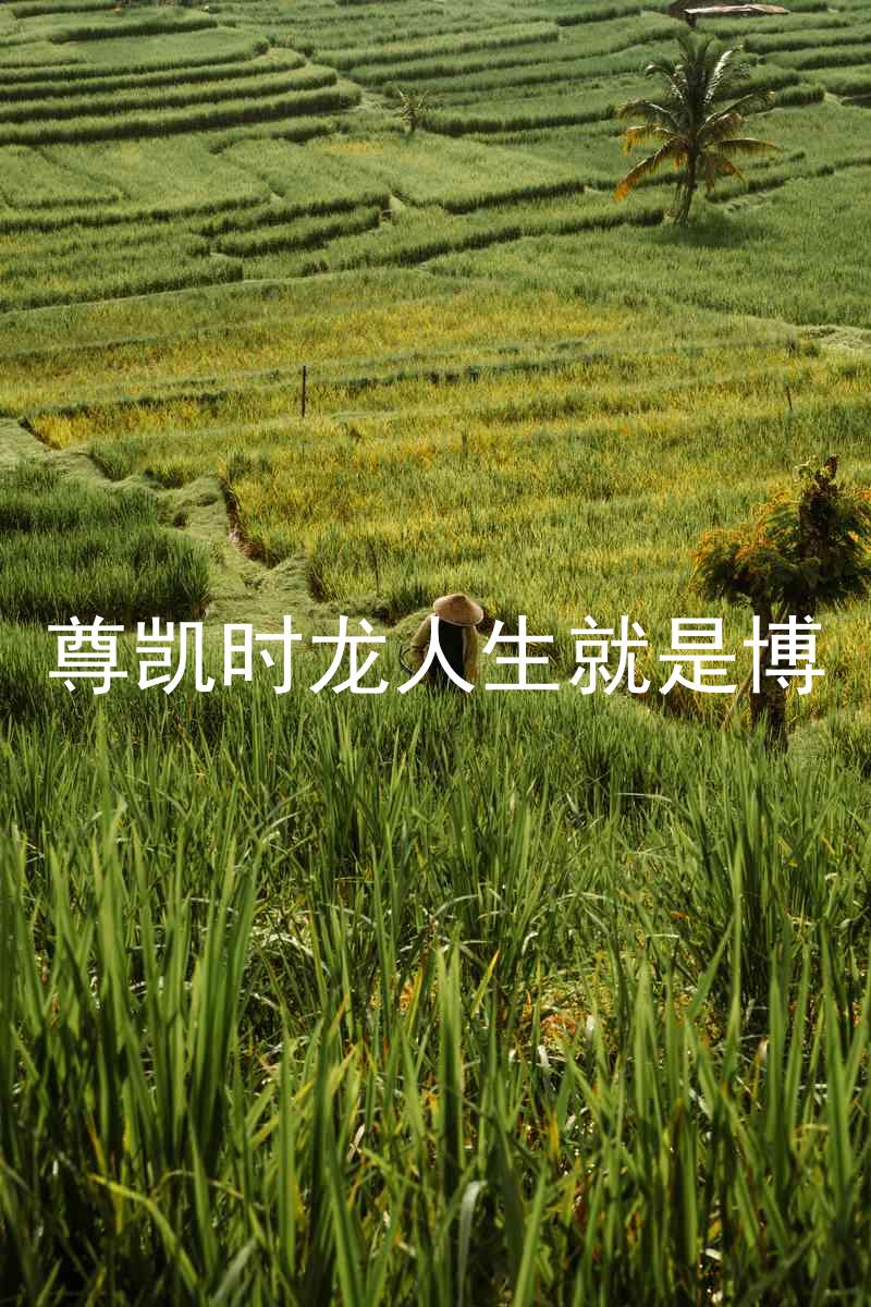 尊凯时龙人生就是博