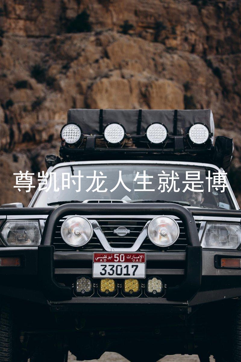 尊凯时龙人生就是博