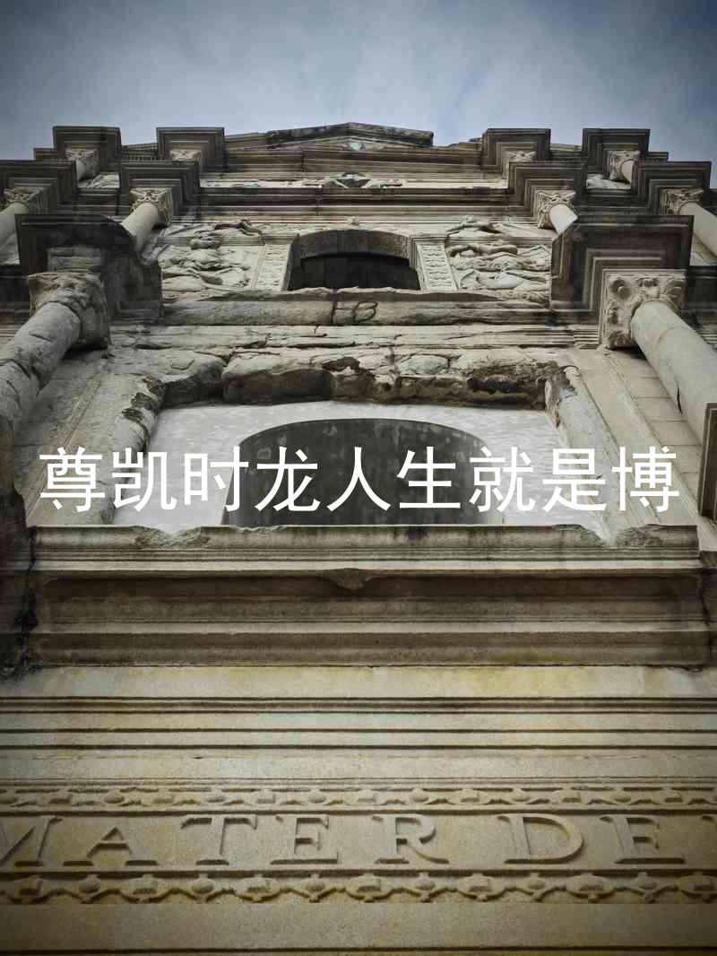 尊凯时龙人生就是博