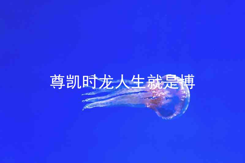 尊凯时龙人生就是博
